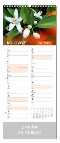 COLOR KALENDARI 2023 CVJETNI PLANER 8. MJESEC